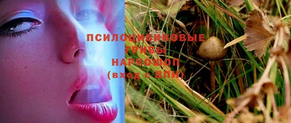 Альфа ПВП Нефтекумск