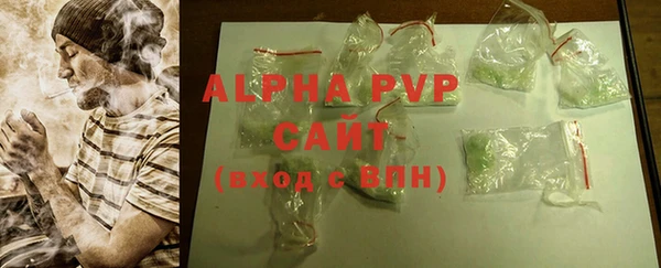 тгк Новозыбков