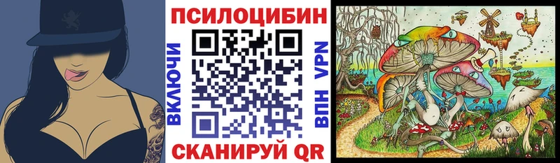 где купить   Сертолово  Галлюциногенные грибы Psilocybe 