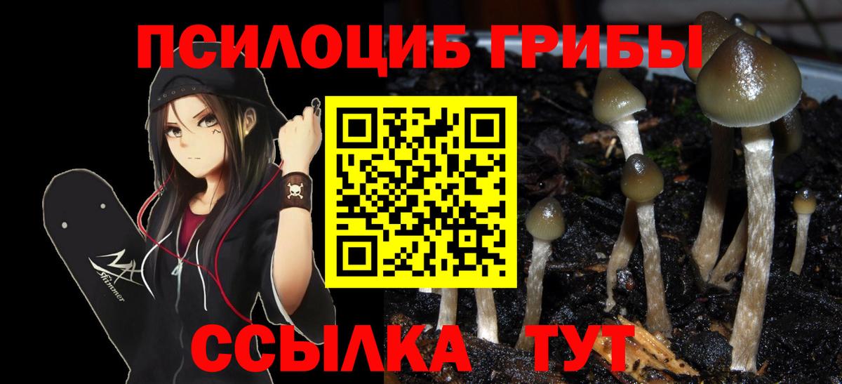 Псилоцибиновые грибы Magic Shrooms  Сертолово 
